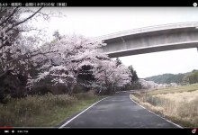 2016.4.9・楢葉町・金剛川 木戸川の桜