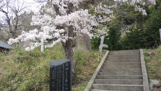 2017年春／双葉町の桜