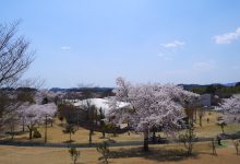 2017年春／広野町の桜